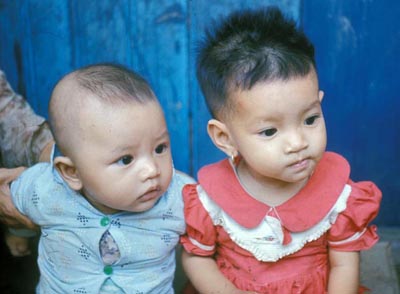 49. Phan Rang: Xins younger siblings.